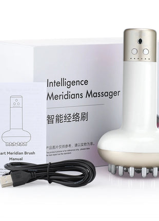 Electric Meridian Brush Body Massager
