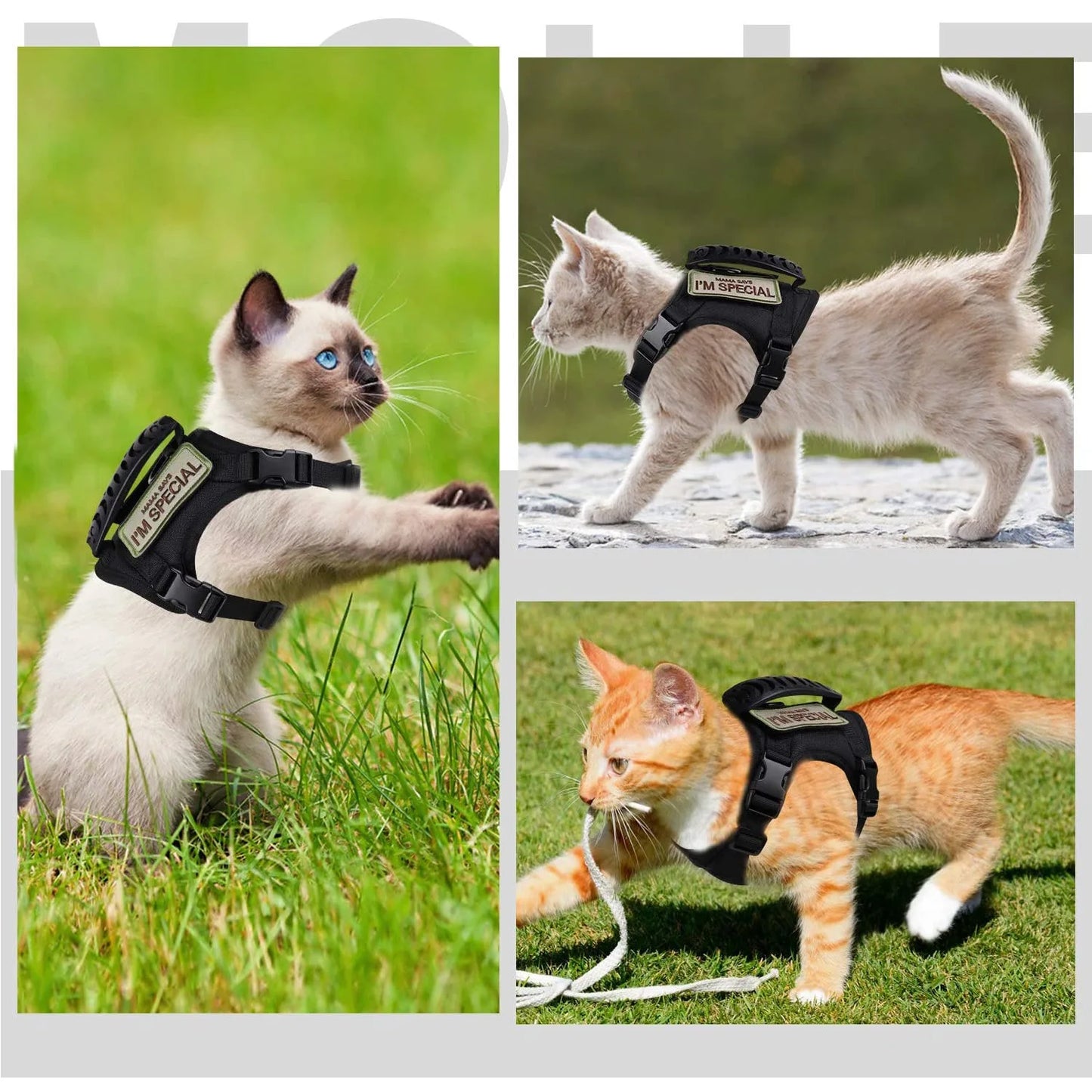 Vest Pet Chest Strap Vest Type Puppy Cat Training Clothing Small Dog Vest