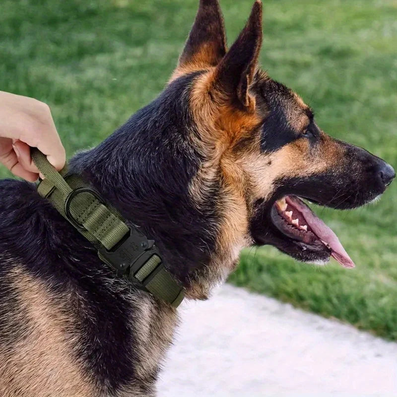 Heavy Duty Tactical Dog Collars with Handle Military Collar