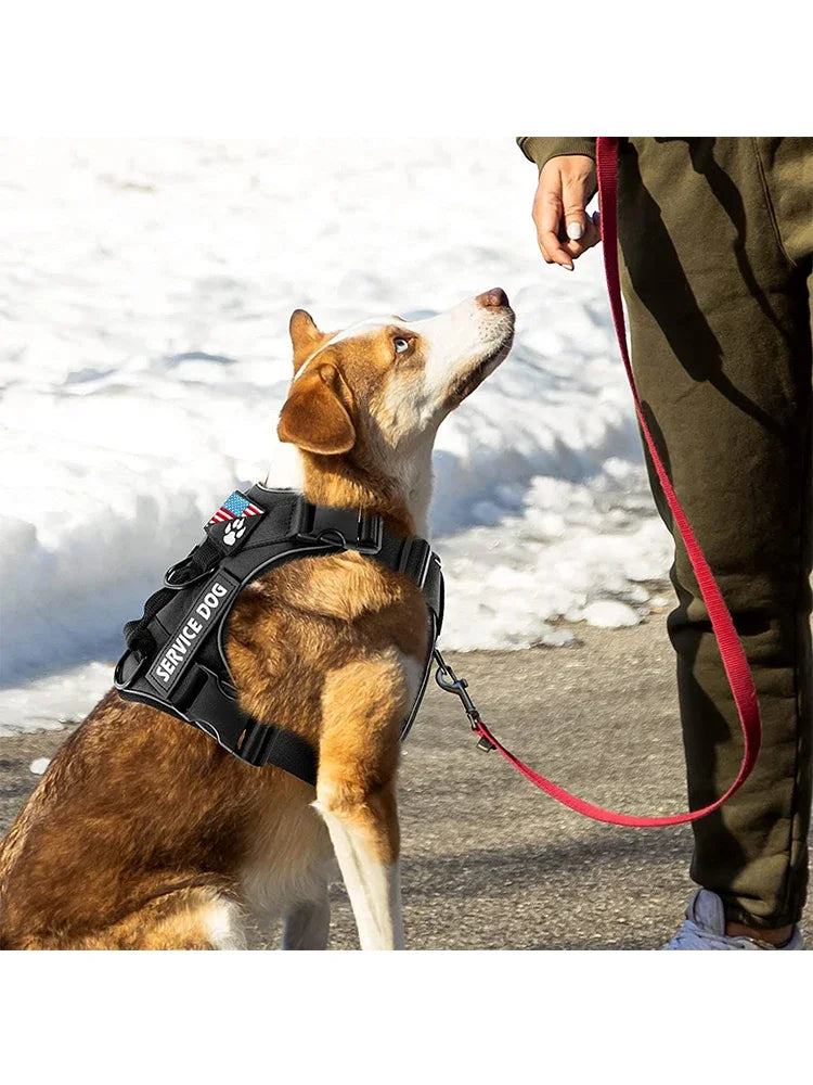 Service Dog Harness, Reflective Dog Vest