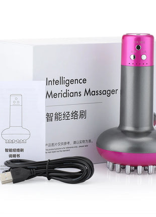 Electric Meridian Brush Body Massager