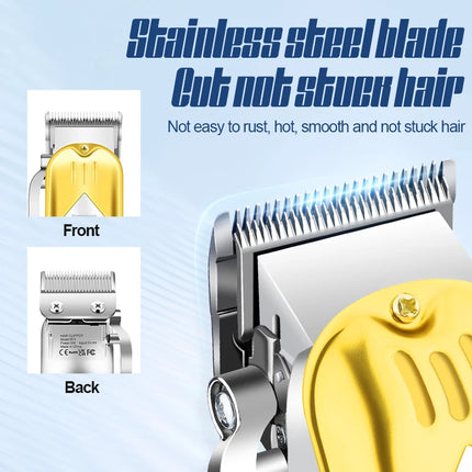 RESUXI 973 3 in 1 Professional Electric Hair Clipper